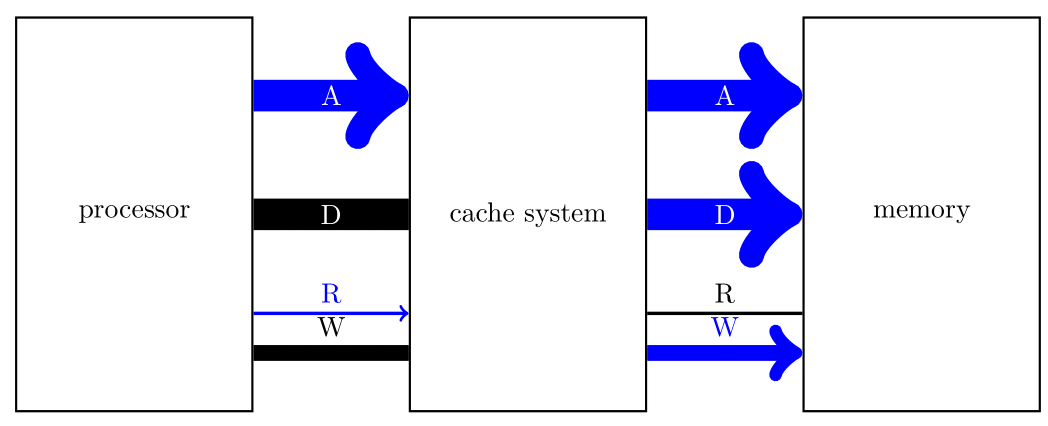 מעבד קורא מטמון כותב